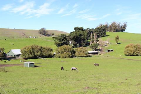 2016 Fallon Rd, Petaluma, CA 94952 photo 3