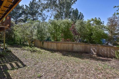 879 Marin Dr, Mill Valley, CA 94941 photo 24