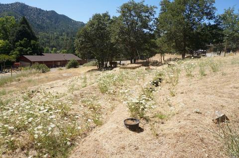 2717 Goose Ranch Rd, Lewiston, CA 96052 photo 31