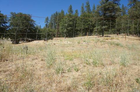 2717 Goose Ranch Rd, Lewiston, CA 96052 photo 30