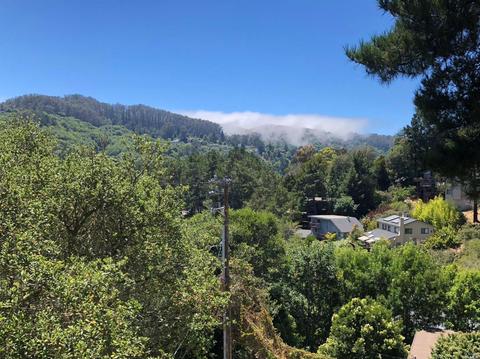 332 Dolan Ave, Mill Valley, CA 94941 photo 29