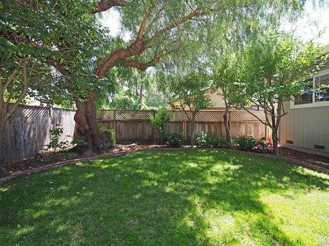 650 4th St E, Sonoma, CA 95476 photo 35