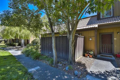 18 Banchero Way, Fairfax, CA 94930 photo 24