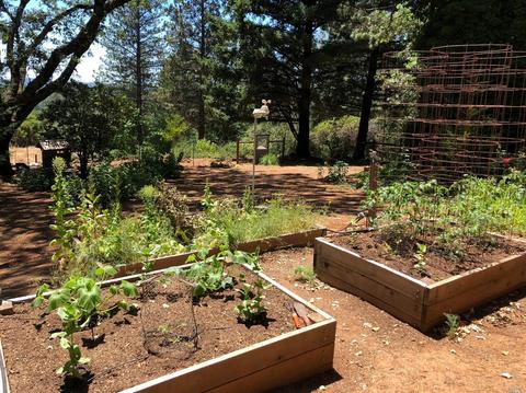 605 Hill Rd, Angwin, CA 94508 photo 11