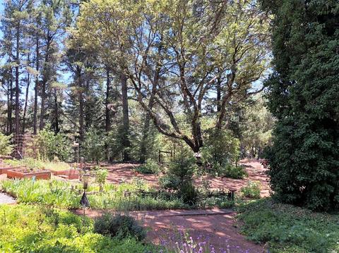 605 Hill Rd, Angwin, CA 94508 photo 4