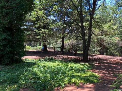 605 Hill Rd, Angwin, CA 94508 photo 15