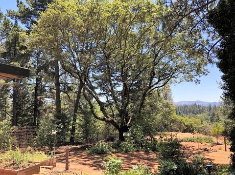 605 Hill Rd, Angwin, CA 94508 photo 3