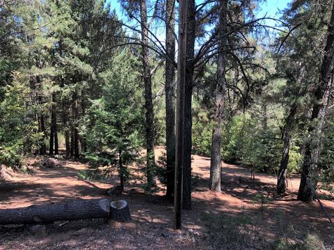 605 Hill Rd, Angwin, CA 94508 photo 17