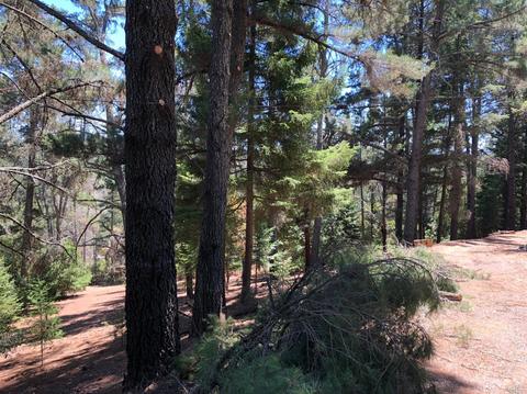 605 Hill Rd, Angwin, CA 94508 photo 16
