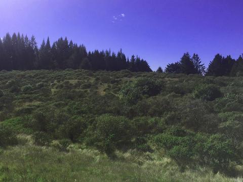 18605 Fitzpatrick Ln, Occidental, CA 95465 photo 7