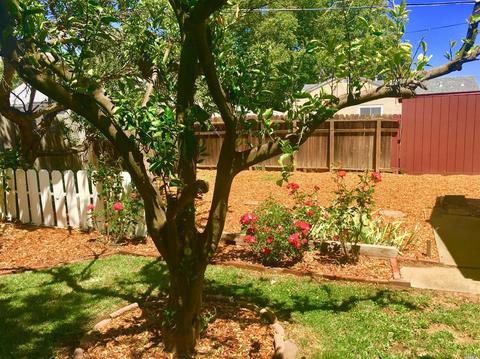 832 Annette Ave, Vallejo, CA 94591 photo 19