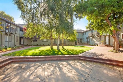 53 Ashford Ave, Mill Valley, CA 94941 photo 15
