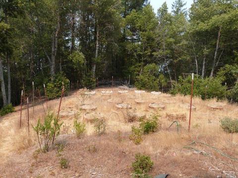 36201 Covelo Rd, Willits, CA 95490 photo 5