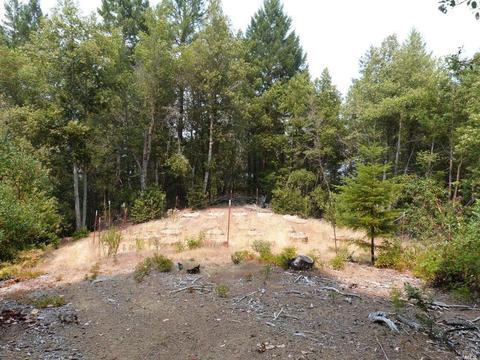 36201 Covelo Rd, Willits, CA 95490 photo 4