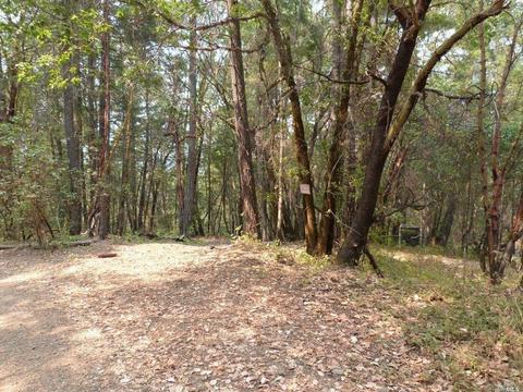 36201 Covelo Rd, Willits, CA 95490 photo 2