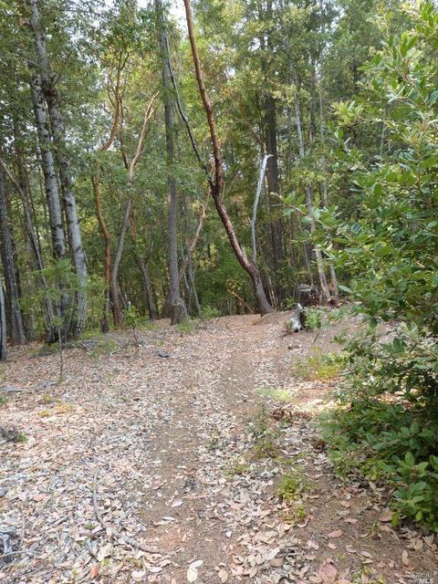 36201 Covelo Rd, Willits, CA 95490 photo 6