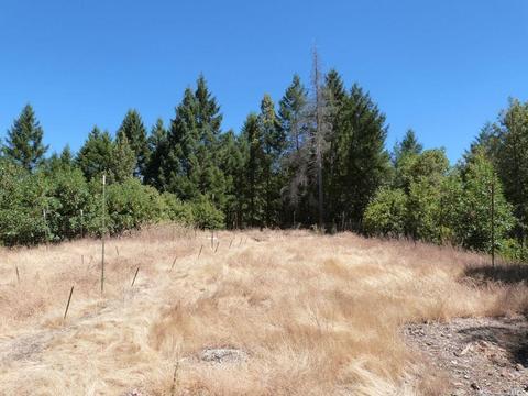 36201 Covelo Rd, Willits, CA 95490 photo 18