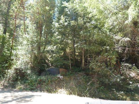 36201 Covelo Rd, Willits, CA 95490 photo 8
