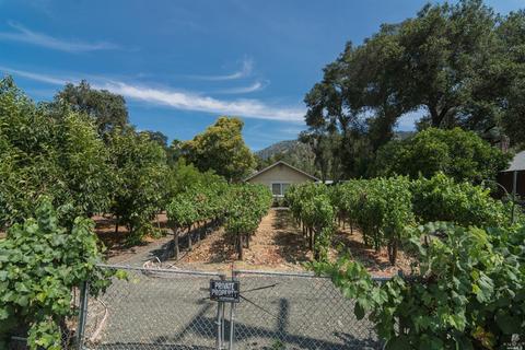 350 Else Way, Cloverdale, CA 95425 photo 29