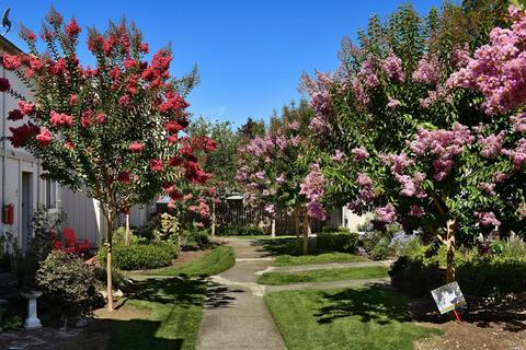 27 Front St #E, Healdsburg, CA 95448 photo 16