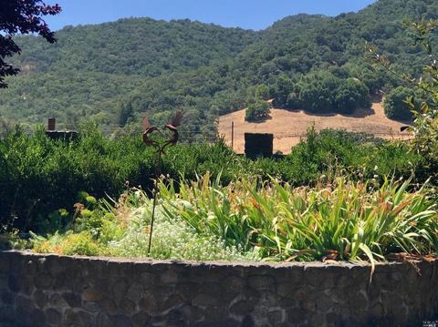 17575 Carriger Rd, Sonoma, CA 95476 photo 27