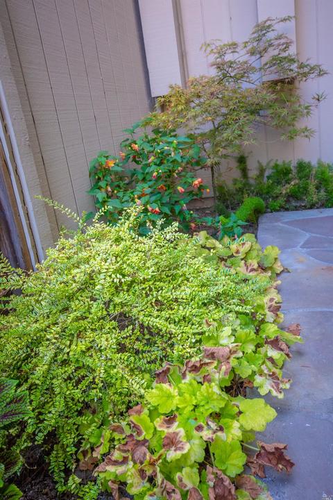 2720 Perch Dr, Napa, CA 94558 photo 4