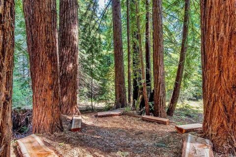 3606 Deer Meadow Ln, Occidental, CA 95465 photo 41
