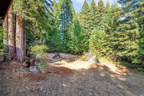 3606 Deer Meadow Ln, Occidental, CA 95465 photo 18
