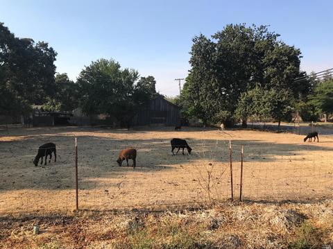 949 S Wright Rd, Santa Rosa, CA 95407 photo 24