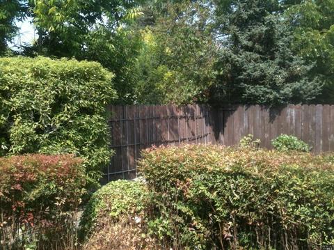 972 Windsor St, Napa, CA 94558 photo 17