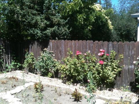 972 Windsor St, Napa, CA 94558 photo 13
