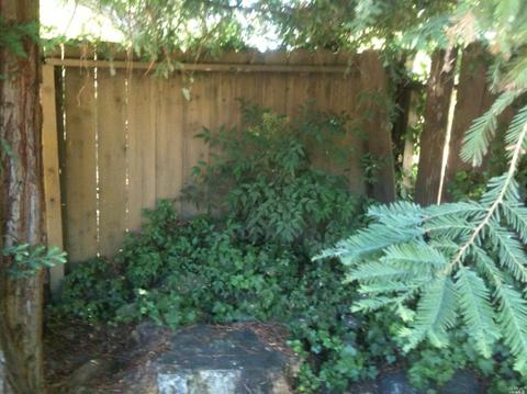 972 Windsor St, Napa, CA 94558 photo 16