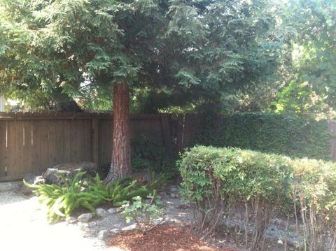 972 Windsor St, Napa, CA 94558 photo 18
