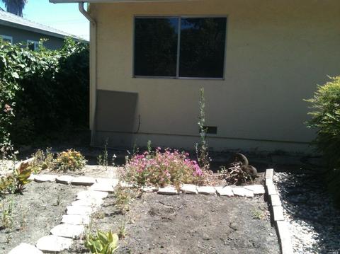 972 Windsor St, Napa, CA 94558 photo 14
