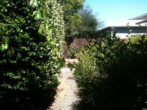 972 Windsor St, Napa, CA 94558 photo 15