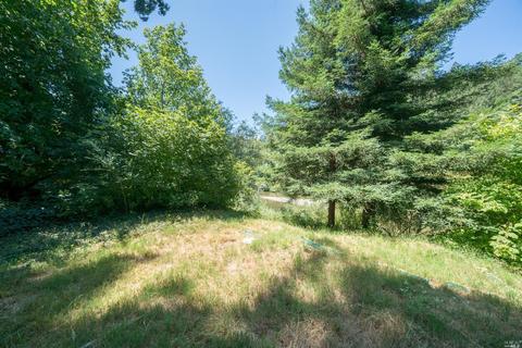 20370 River Blvd, Monte Rio, CA 95462 photo 14