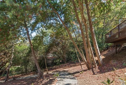 9 Neila Way, Mill Valley, CA 94941 photo 25