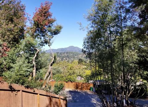 9 Neila Way, Mill Valley, CA 94941 photo 21