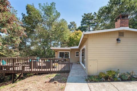 9 Neila Way, Mill Valley, CA 94941 photo 22