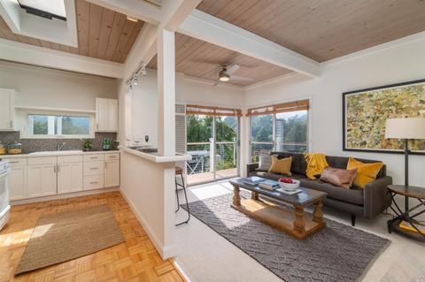 10 Manor Ter, Mill Valley, CA 94941 photo 38