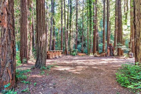 1101 Bohemian Ln, Occidental, CA 95465 photo 21