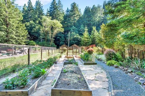 1101 Bohemian Ln, Occidental, CA 95465 photo 14