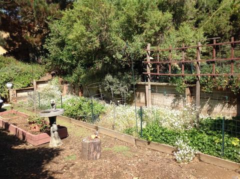 220 Peppercorn Ct, Vallejo, CA 94591 photo 45