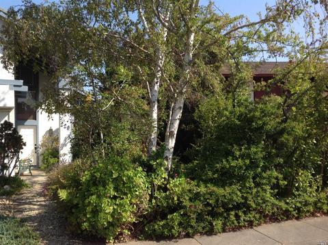 220 Peppercorn Ct, Vallejo, CA 94591 photo 4
