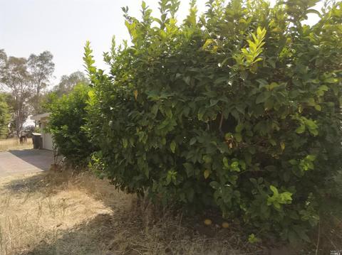 7591 Clement Rd, Vacaville, CA 95688 photo 9