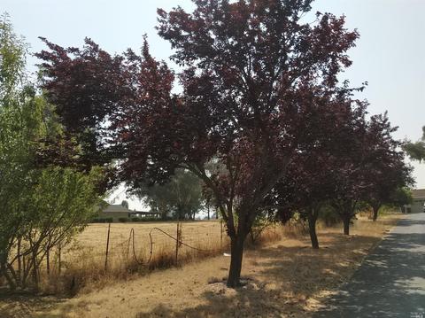 7591 Clement Rd, Vacaville, CA 95688 photo 11