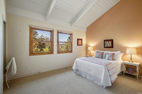 7 Burning Tree Dr, Novato, CA 94949 photo 31