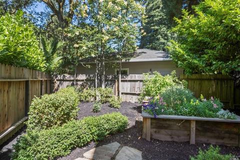 20 Bridge Rd, Kentfield, CA 94904 photo 45