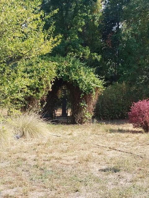 290 Jensen Ln, Windsor, CA 95492 photo 5