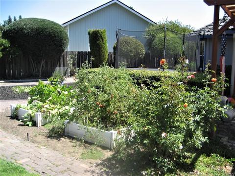 225 Moll Dr, Windsor, CA 95492 photo 3